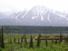[Alaska railroad]