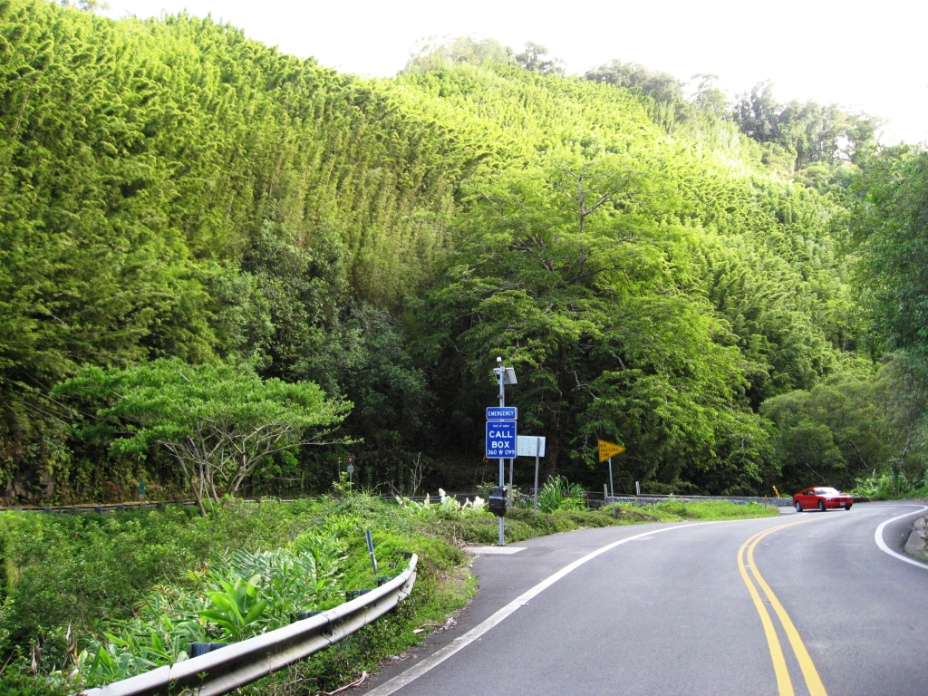 [#09_Road_to_Hana.jpg]